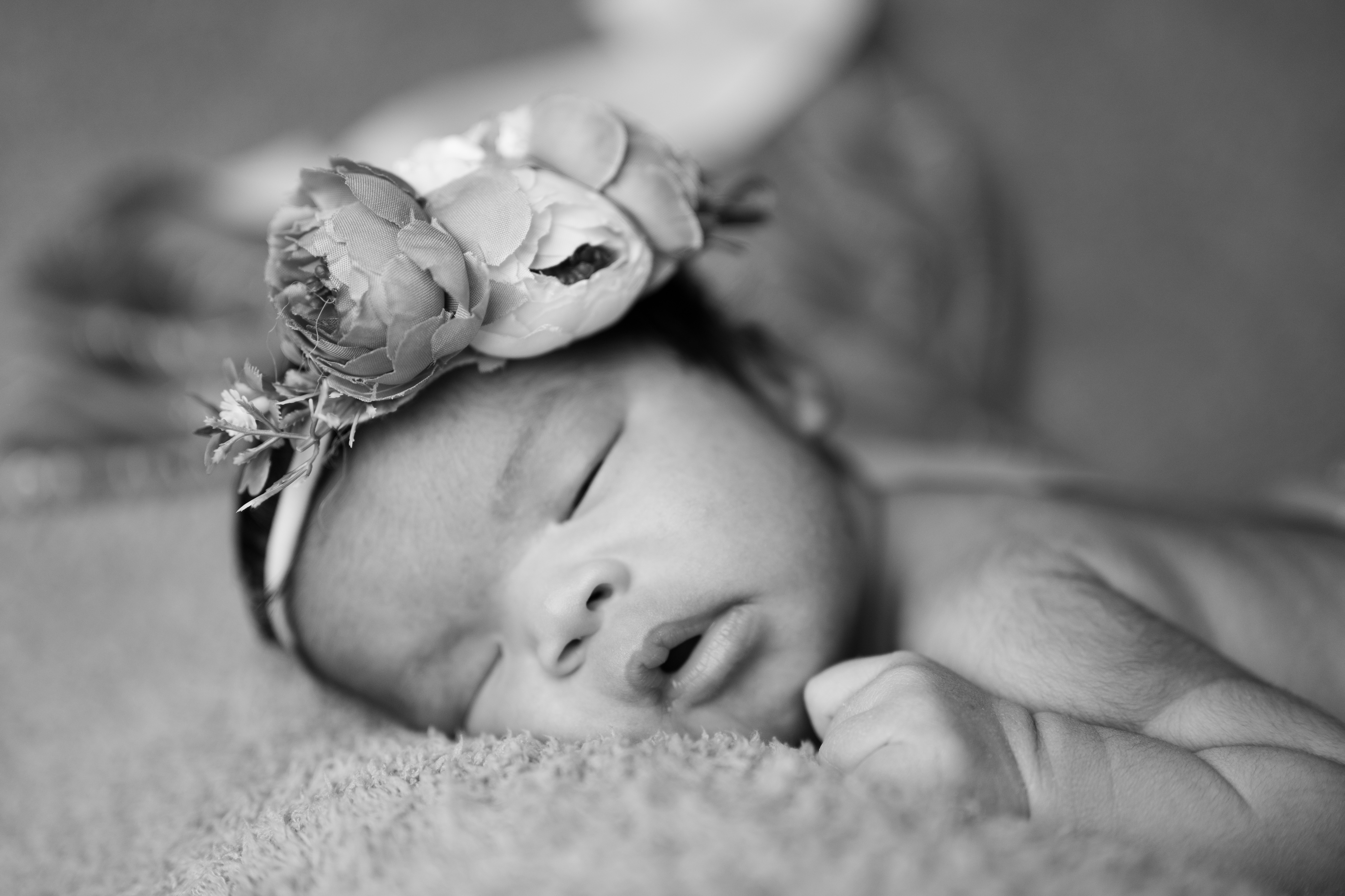 Newborn album preview image 4