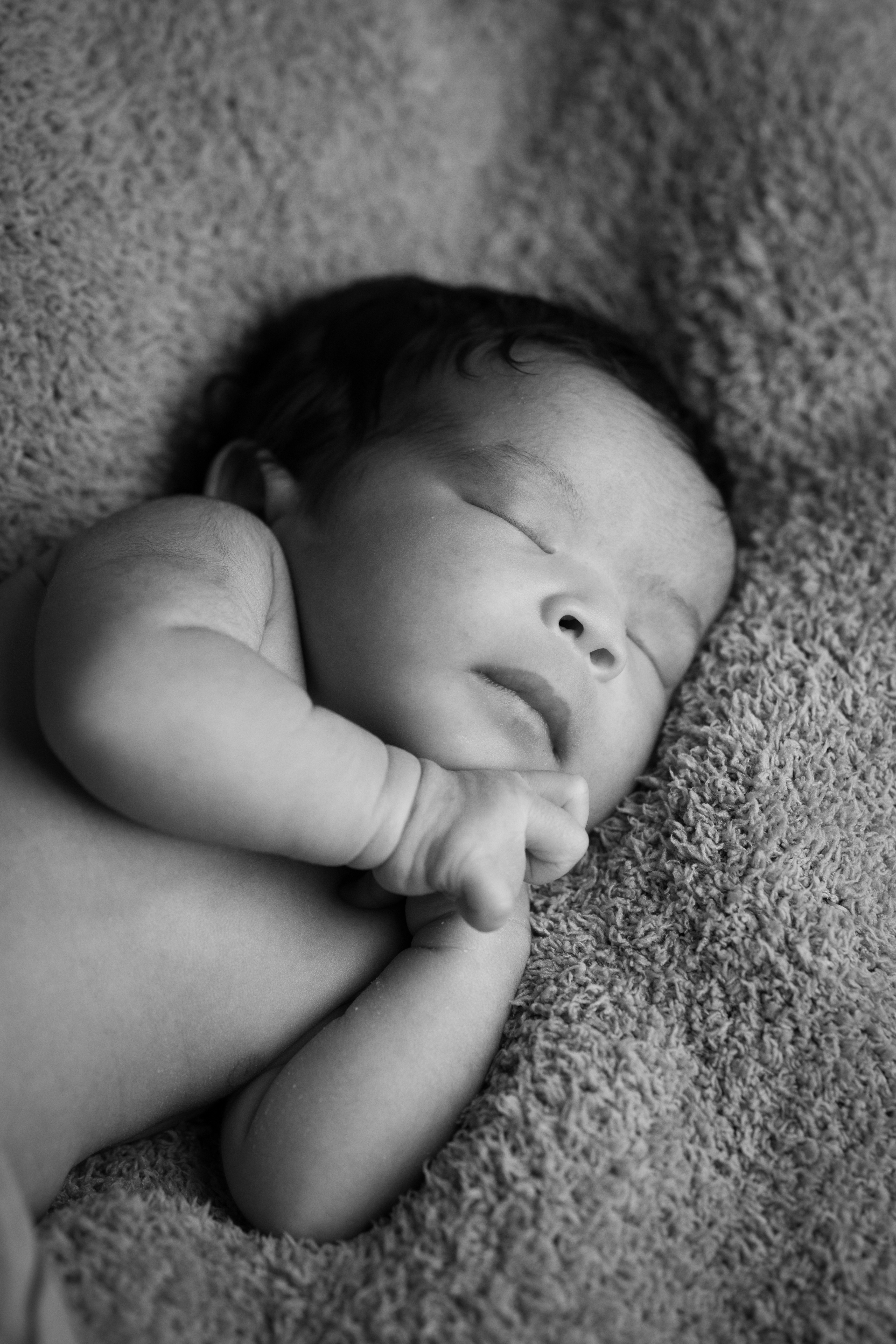 Black and white portrait of a sleeping newborn wrapped in a soft blanket